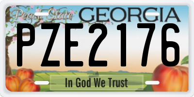 GA license plate PZE2176