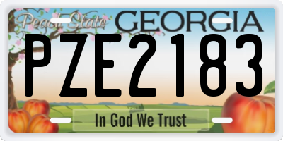 GA license plate PZE2183