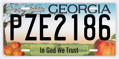 GA license plate PZE2186