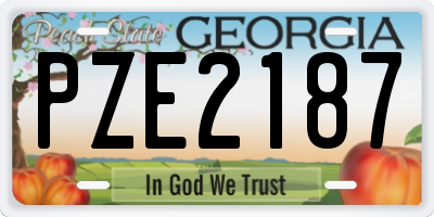 GA license plate PZE2187