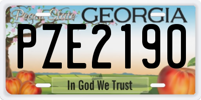GA license plate PZE2190