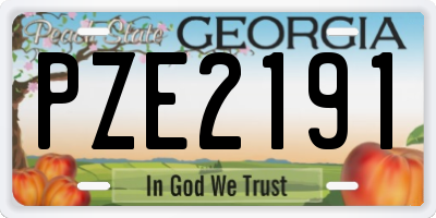 GA license plate PZE2191