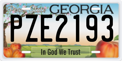 GA license plate PZE2193