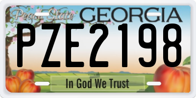 GA license plate PZE2198
