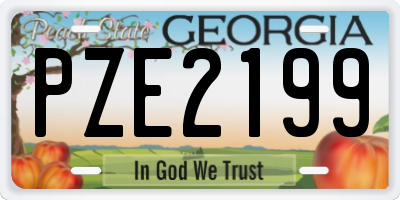 GA license plate PZE2199
