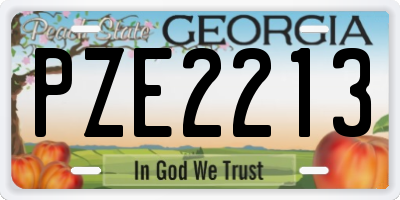 GA license plate PZE2213
