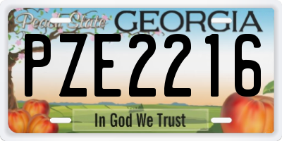 GA license plate PZE2216