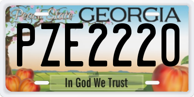 GA license plate PZE2220