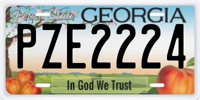 GA license plate PZE2224