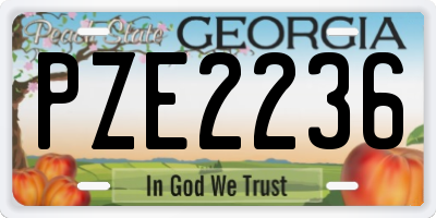GA license plate PZE2236