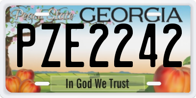 GA license plate PZE2242