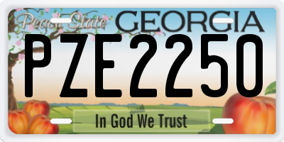GA license plate PZE2250