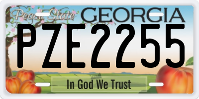 GA license plate PZE2255