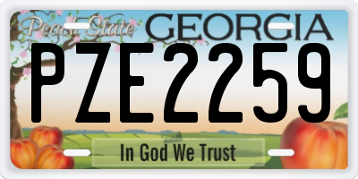 GA license plate PZE2259
