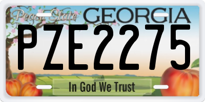 GA license plate PZE2275