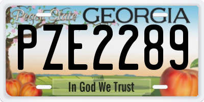 GA license plate PZE2289