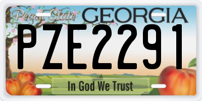 GA license plate PZE2291