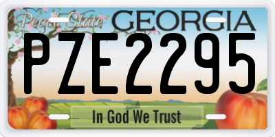 GA license plate PZE2295