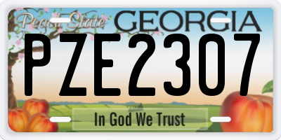 GA license plate PZE2307
