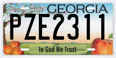 GA license plate PZE2311