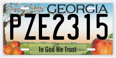 GA license plate PZE2315