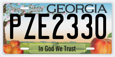 GA license plate PZE2330