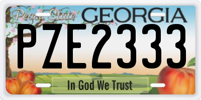 GA license plate PZE2333