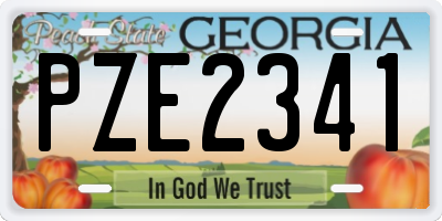 GA license plate PZE2341