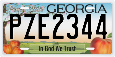 GA license plate PZE2344