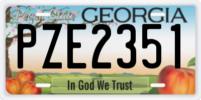GA license plate PZE2351
