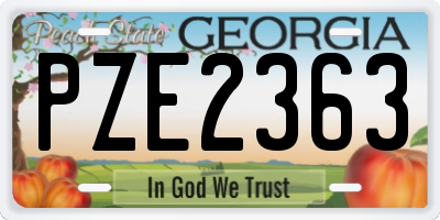 GA license plate PZE2363