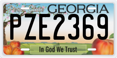 GA license plate PZE2369