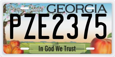 GA license plate PZE2375