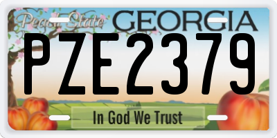 GA license plate PZE2379
