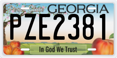GA license plate PZE2381