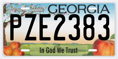 GA license plate PZE2383