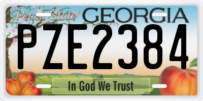 GA license plate PZE2384