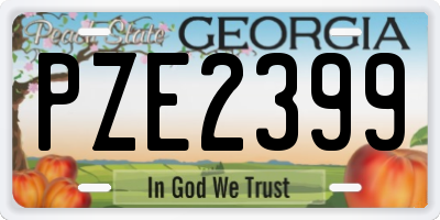 GA license plate PZE2399