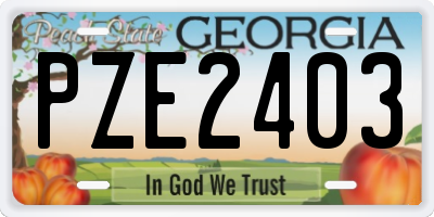 GA license plate PZE2403