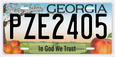 GA license plate PZE2405