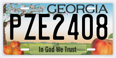 GA license plate PZE2408