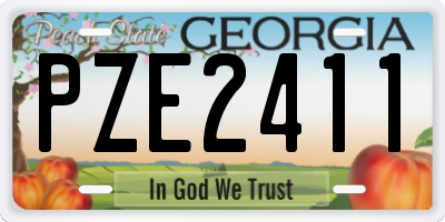 GA license plate PZE2411