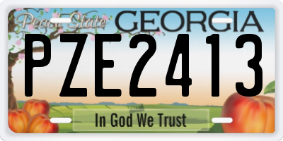 GA license plate PZE2413