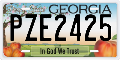 GA license plate PZE2425