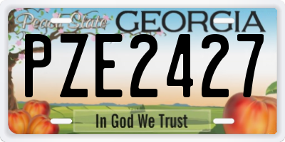 GA license plate PZE2427