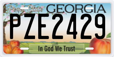 GA license plate PZE2429