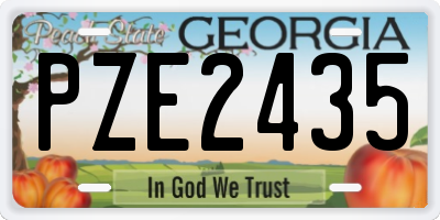 GA license plate PZE2435