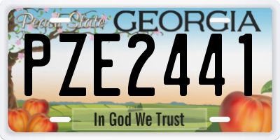 GA license plate PZE2441