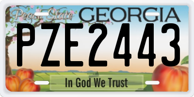 GA license plate PZE2443