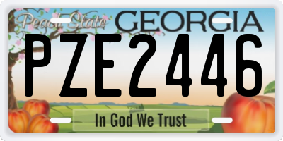 GA license plate PZE2446